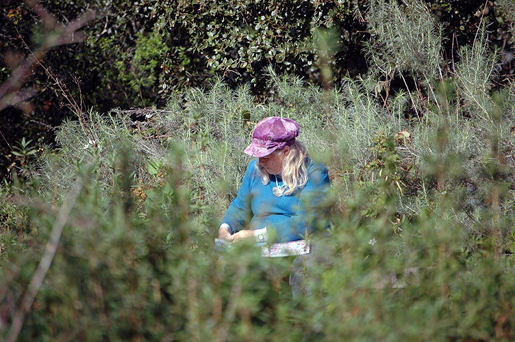 Elkhorn Slough Feb. 2010 055.jpg